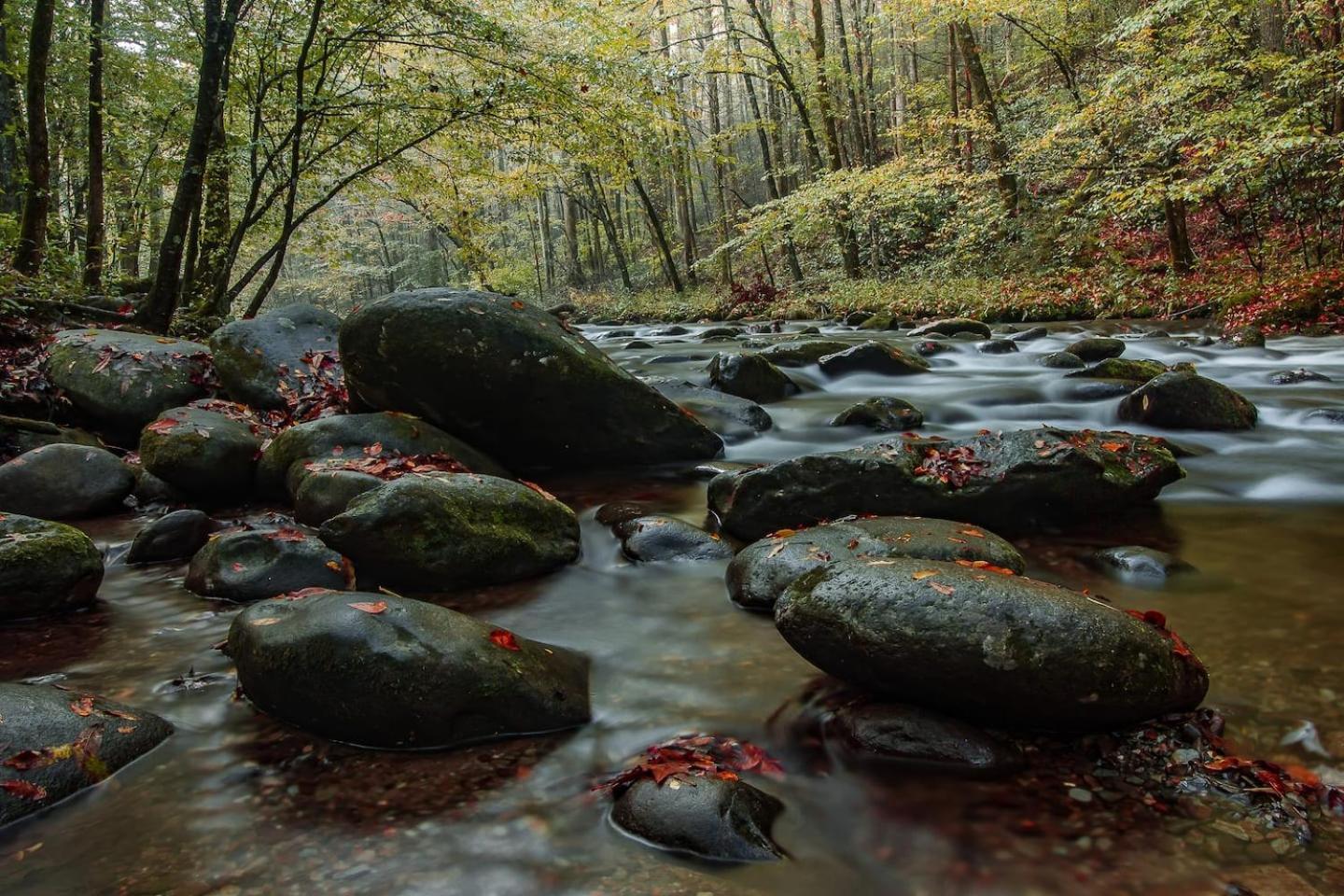 Romantic Mtn Cabin Hot Tub & Jacuzzi Views Sevierville Luaran gambar