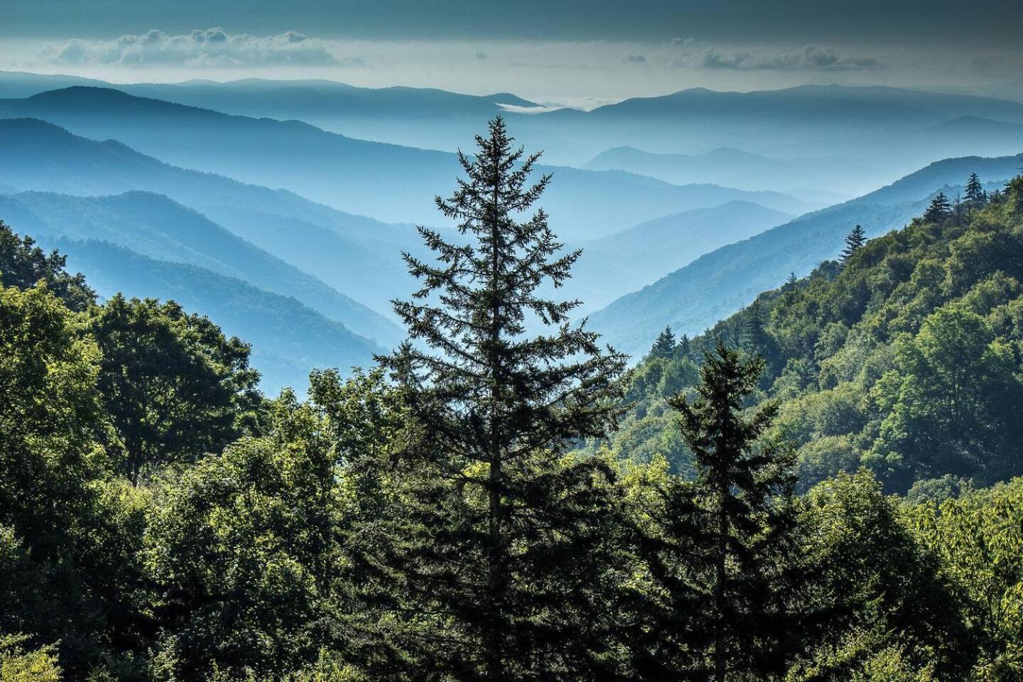 Romantic Mtn Cabin Hot Tub & Jacuzzi Views Sevierville Luaran gambar