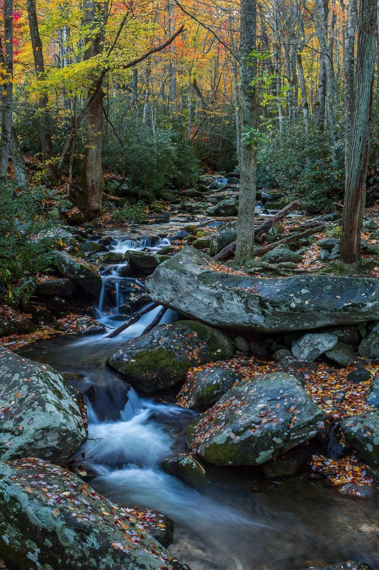 Romantic Mtn Cabin Hot Tub & Jacuzzi Views Sevierville Luaran gambar